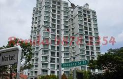 Hougang Green (D19), Apartment #105631462
